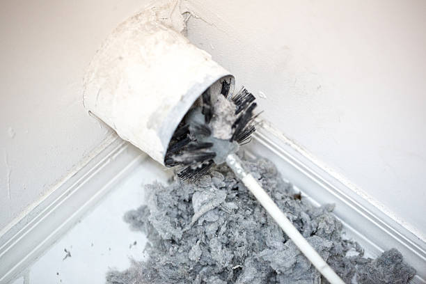 Best Home Air Vent Cleaning  in Waymart, PA